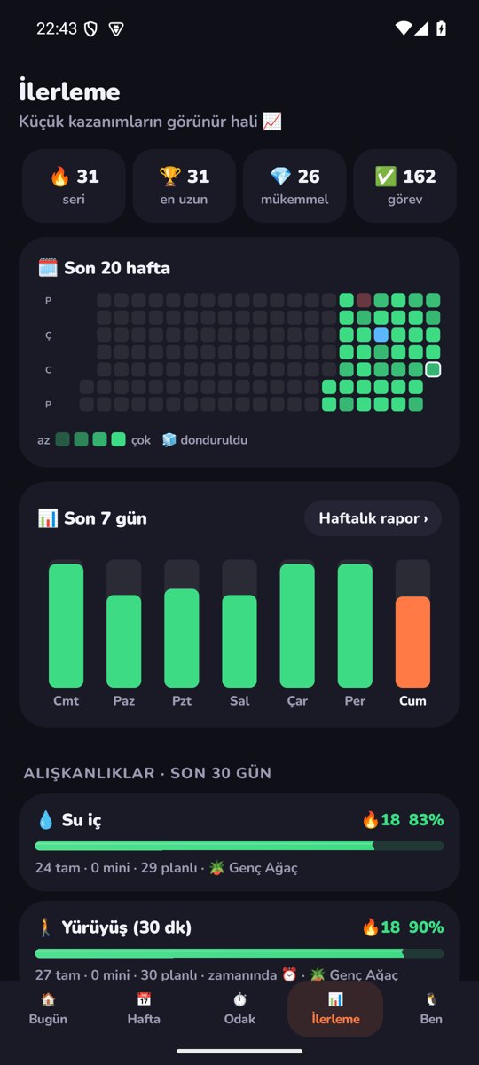 Rutin — ilerleme